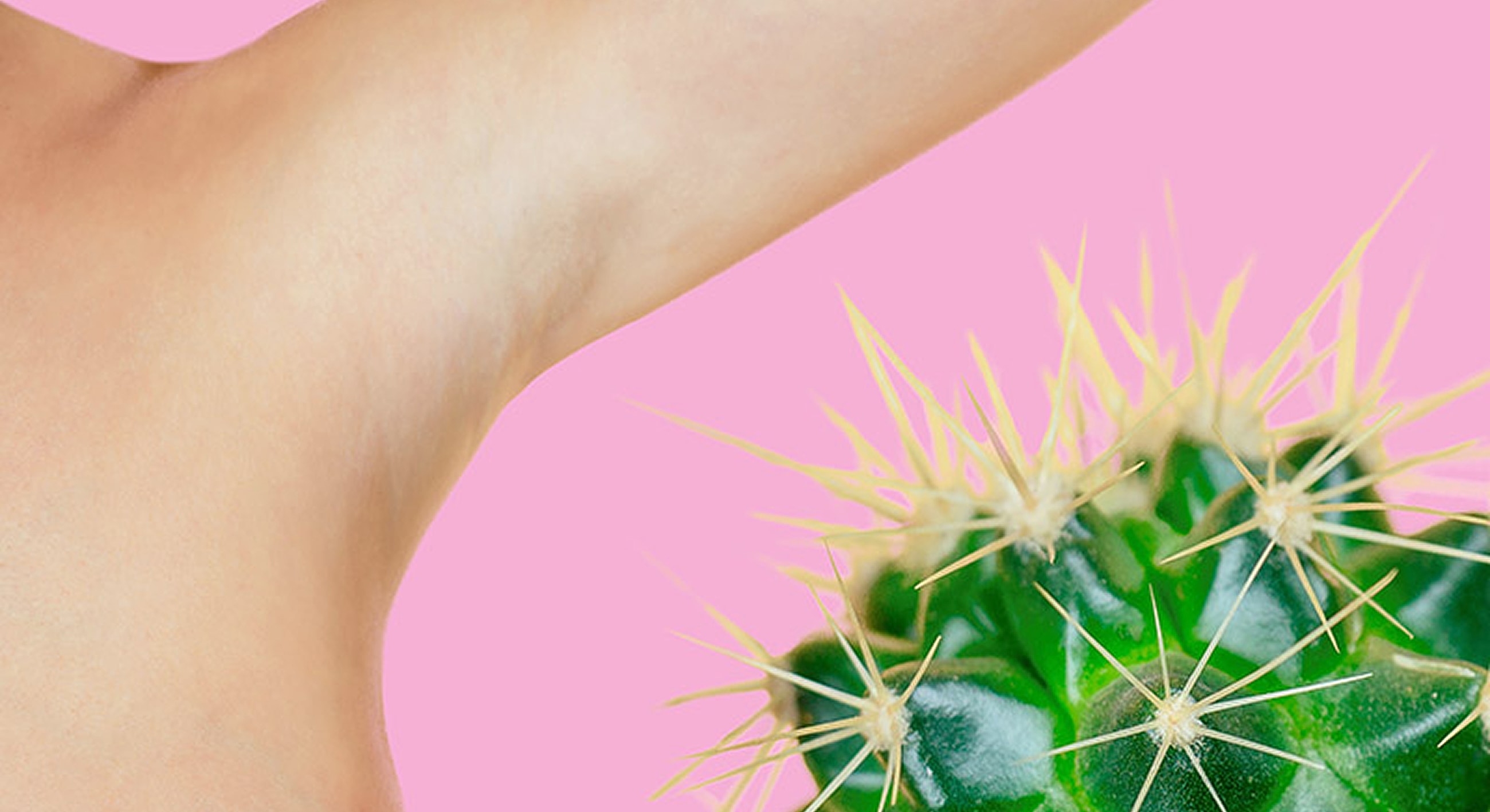 Cactus next to human skin on pink background.